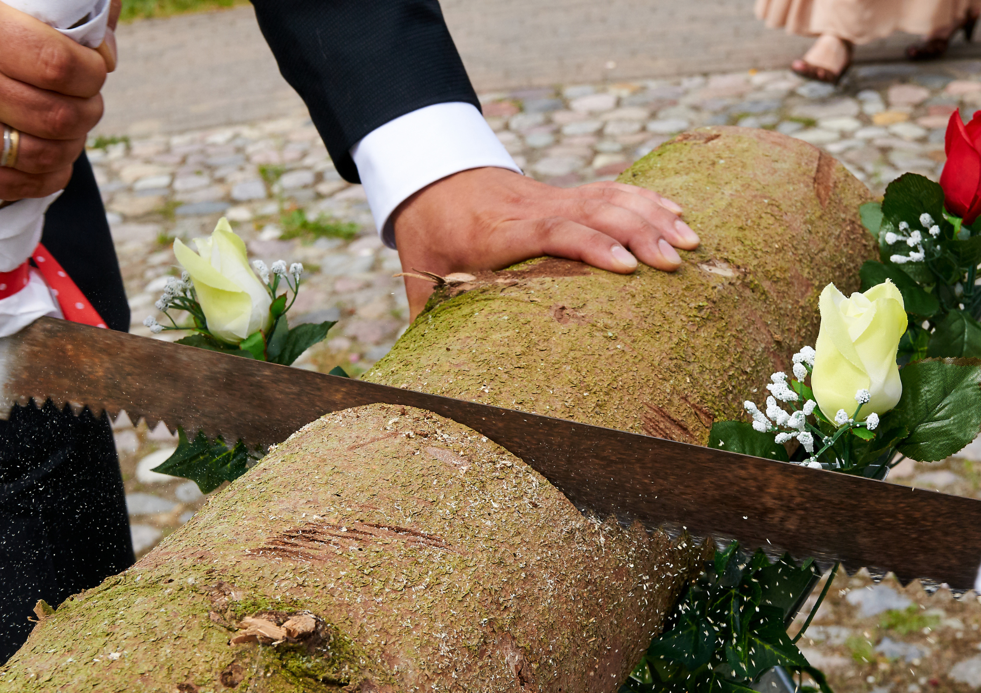 Brautpaar sägt gemeinsam einen Baumstamm durch als Hochzeitstradition